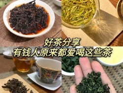 绿茶作用和功效与禁忌（高山绿茶的功效与作用及禁忌）